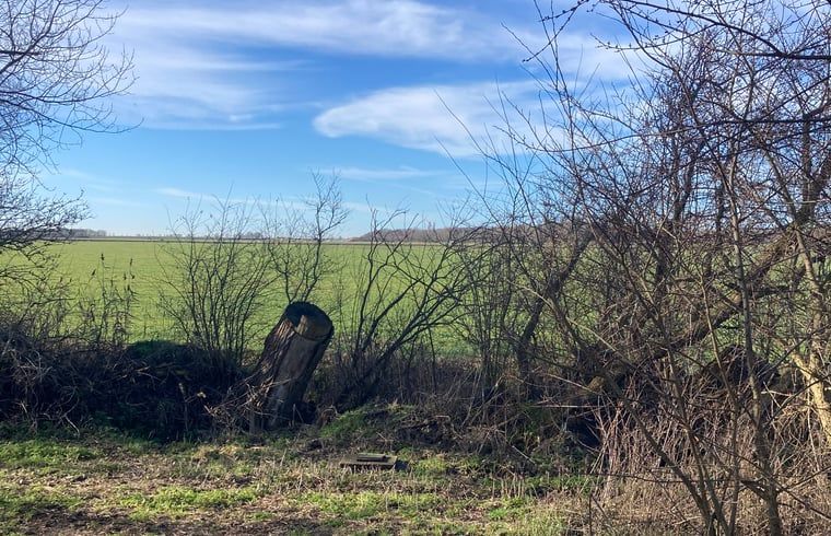 Unterkunft 600312 - Ferienhaus Schouwen-Duiveland - Huisje in Zierikzee