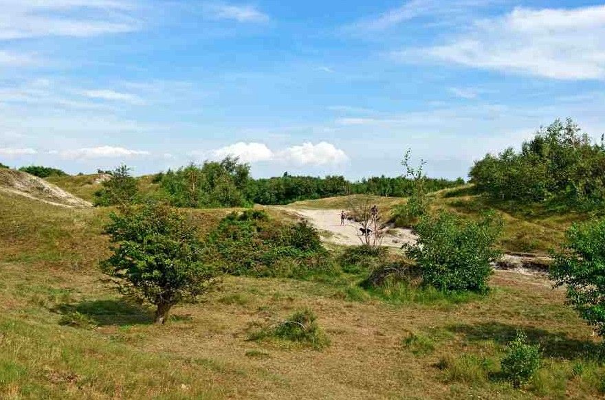 Unterkunft 6004101 - Ferienhaus Schouwen-Duiveland - Pluto