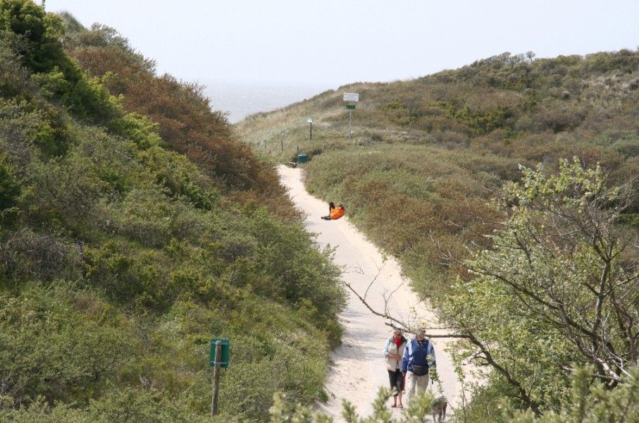 Unterkunft 6004101 - Ferienhaus Schouwen-Duiveland - Pluto