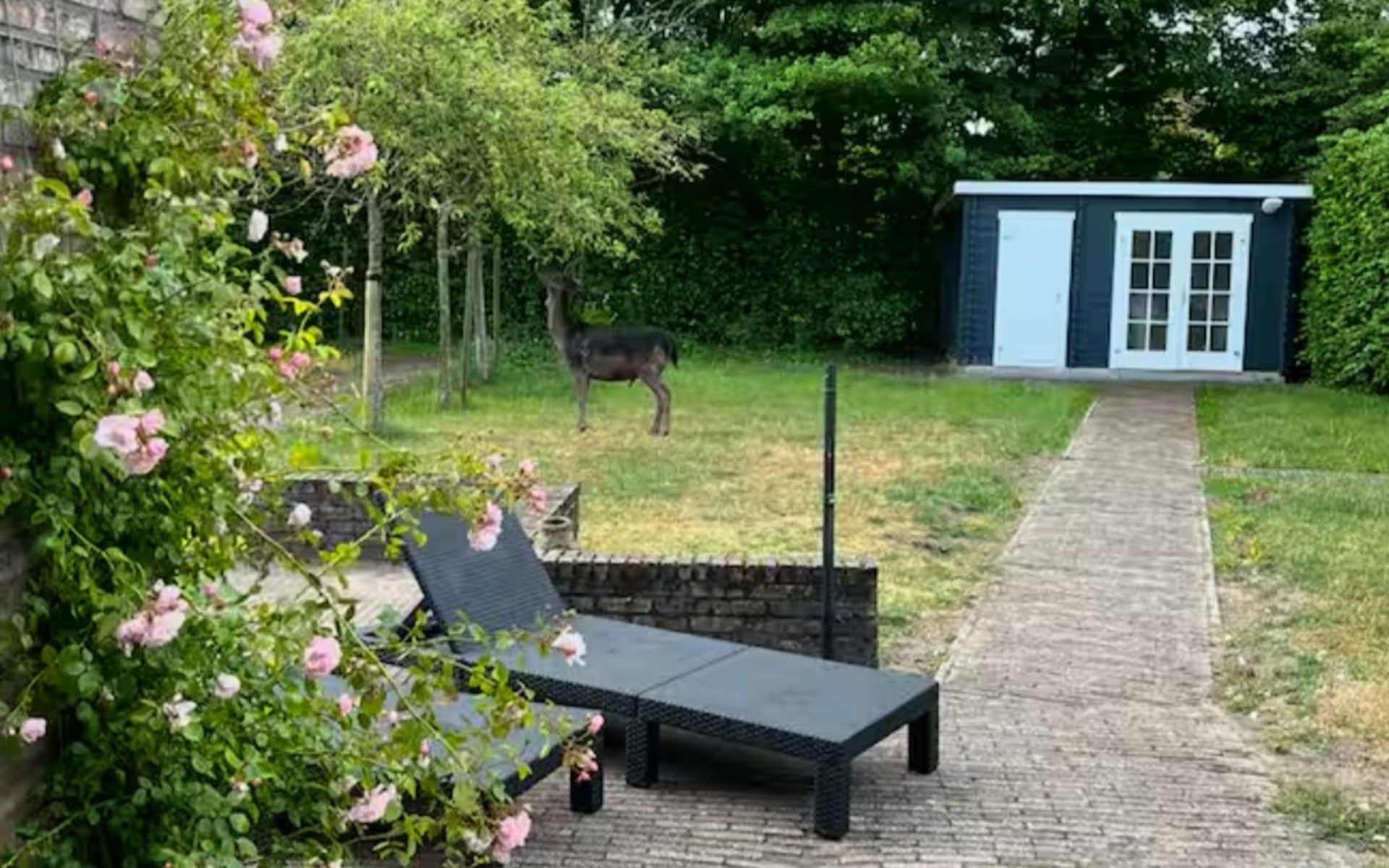 Unterkunft 600417 - Ferienhaus Schouwen-Duiveland - Vakantiewoning Schouwse Duin 13