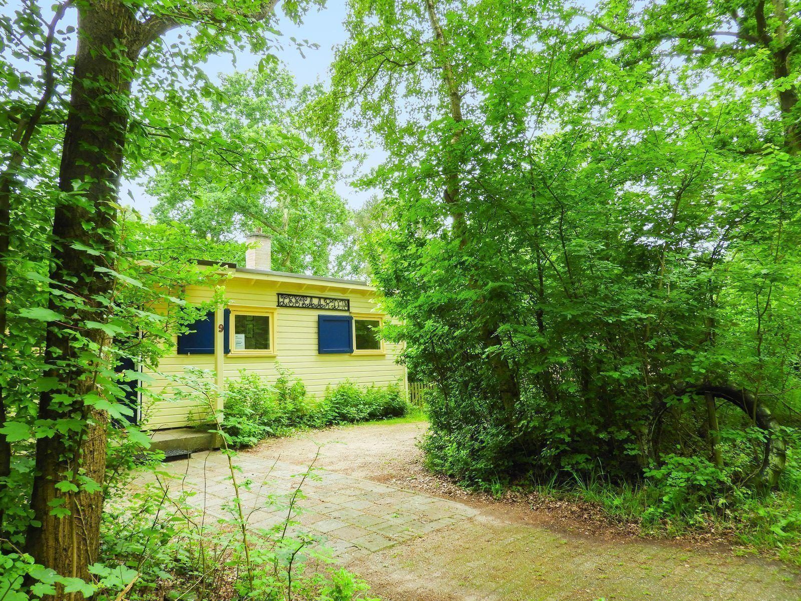 Bosrijke omgeving bij VZ345 Vakantiehuis Burgh-Haamstede in Schouwen-Duiveland.