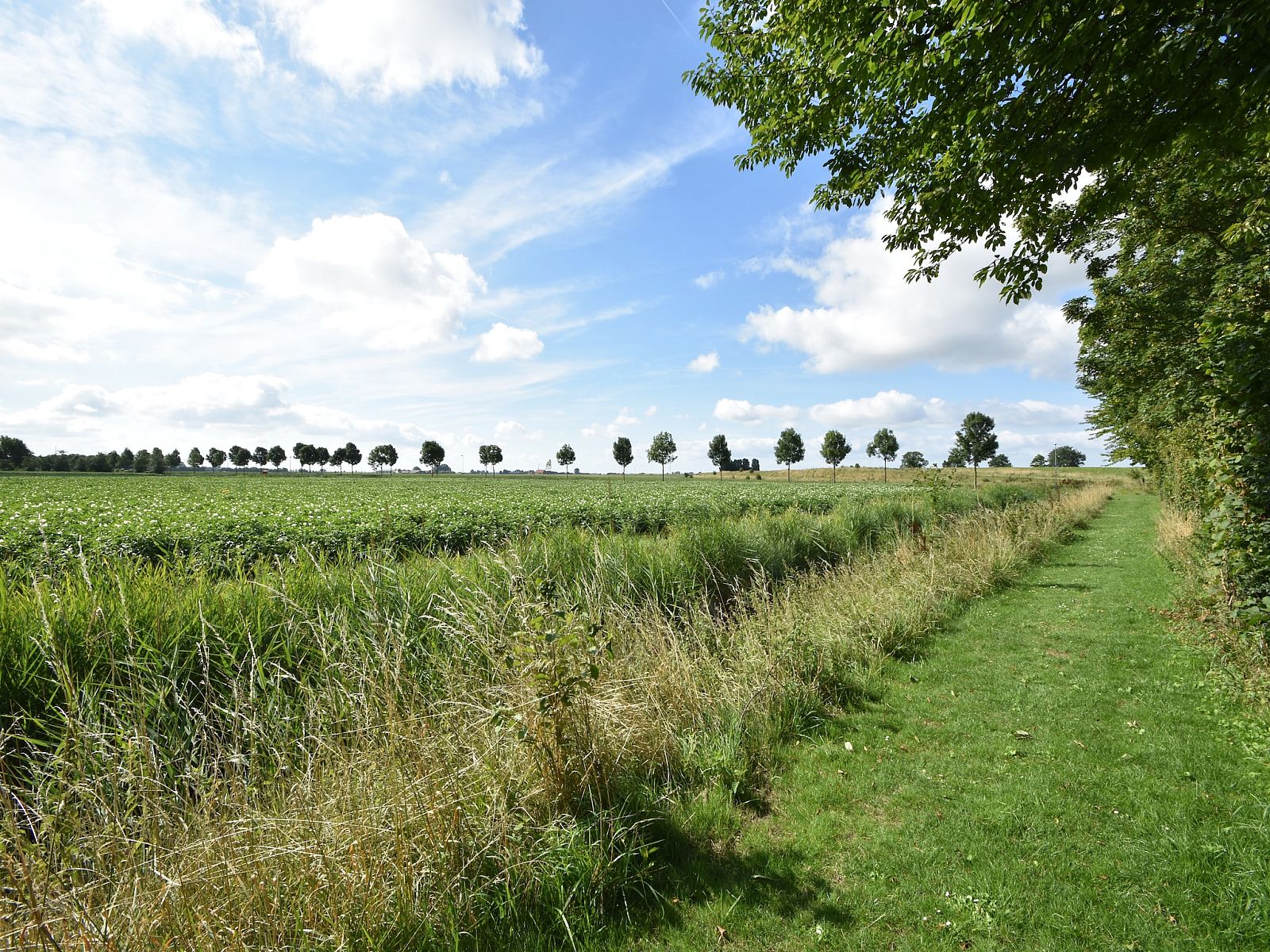 Unterkunft 600620 - Ferienhaus Schouwen-Duiveland - Het Mosselhuys