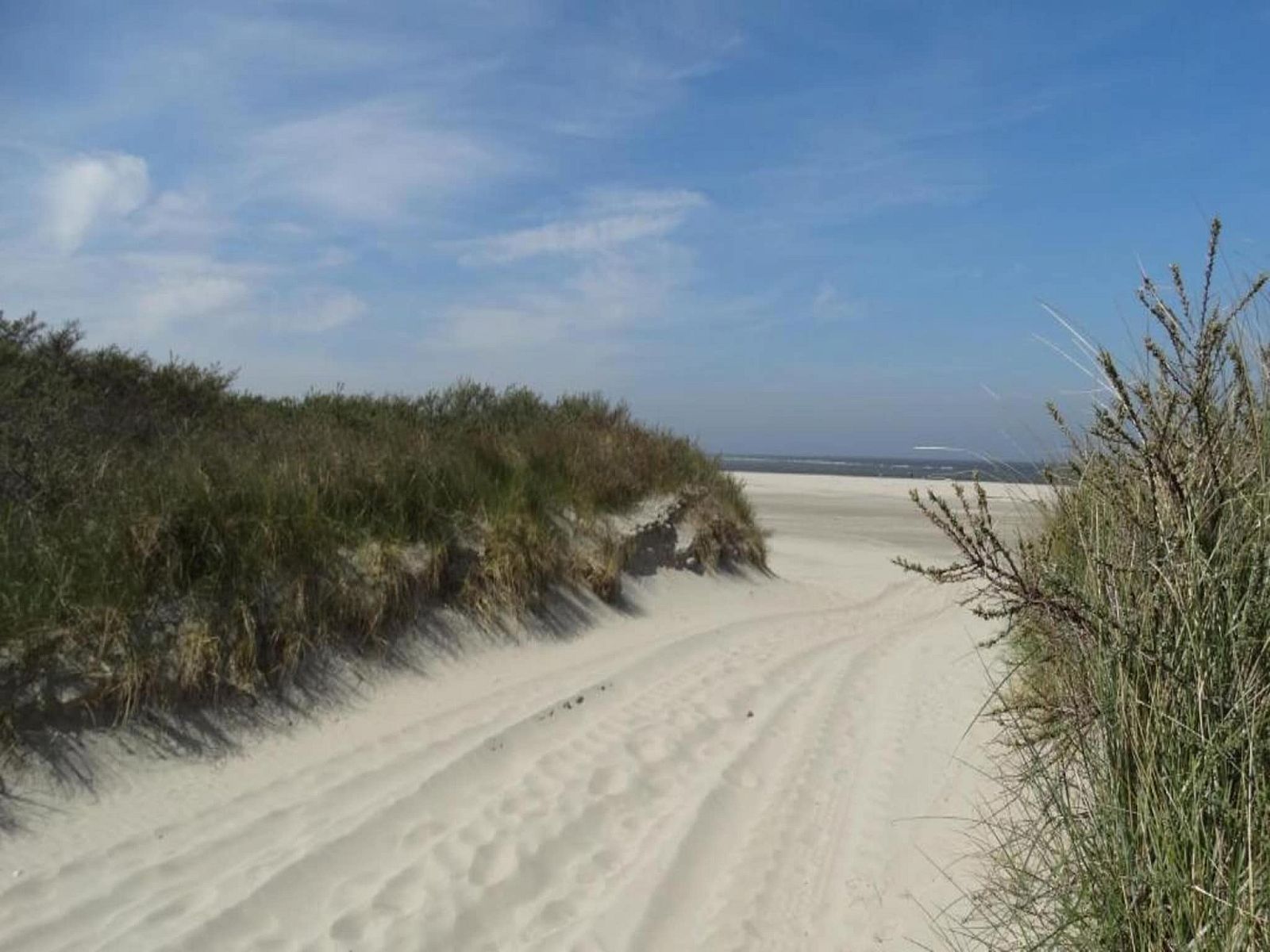 Guest house 600689 - Apartment Schouwen-Duiveland - Aquadelta 34