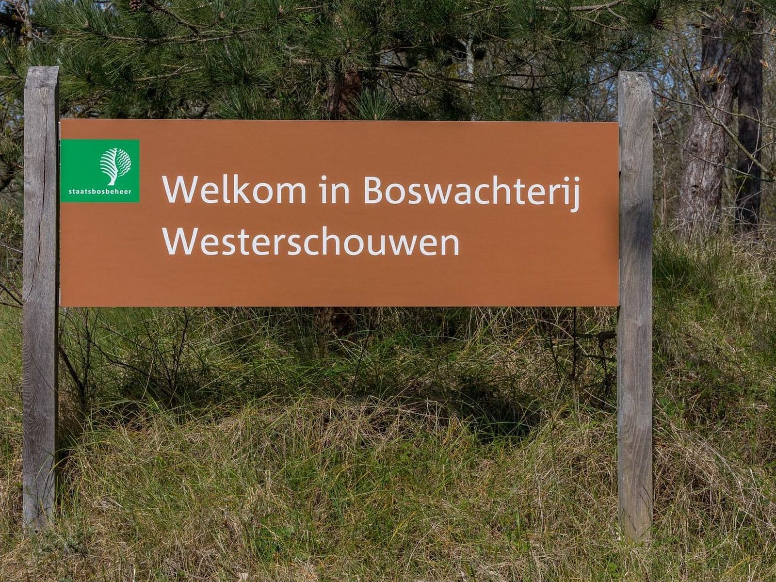 Guest house 6007191 - Holiday property Schouwen-Duiveland - Vakantiehuis DuinZilver B
