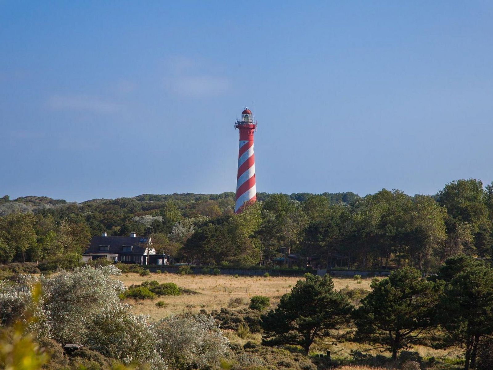 Guest house 6007191 - Holiday property Schouwen-Duiveland - Vakantiehuis DuinZilver B
