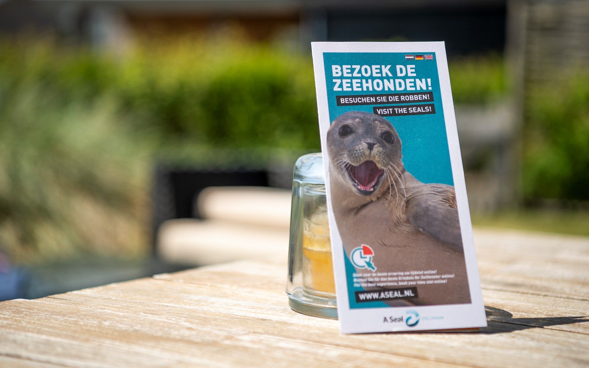 Verblijf 600719 - Vakantiewoning Schouwen-Duiveland - Vakantiehuis Zonnedorp 15, "Stuurboord"