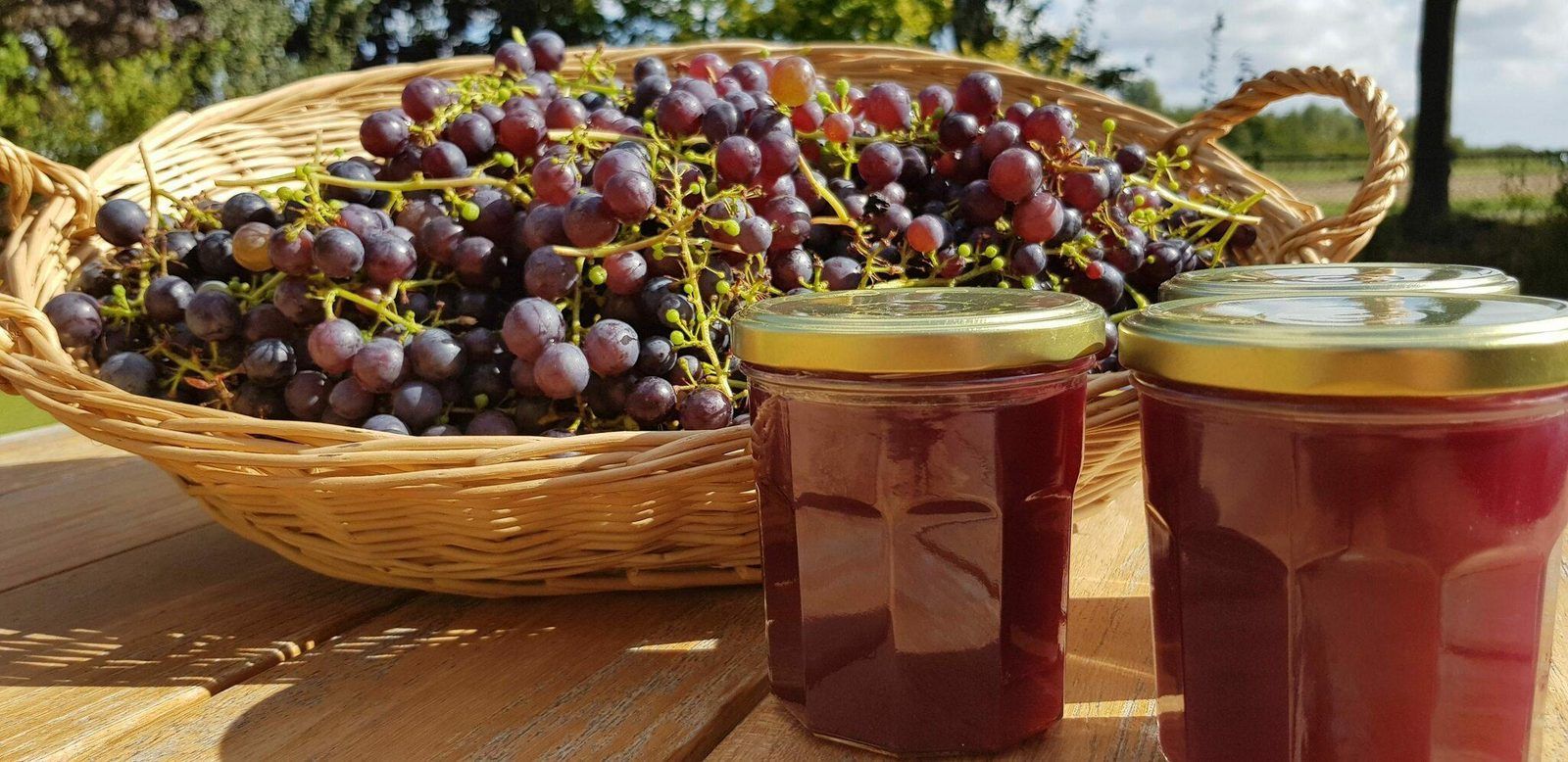 Guest house 6007206 - Holiday property Schouwen-Duiveland - VZ890 Vakantiehuis in Renesse