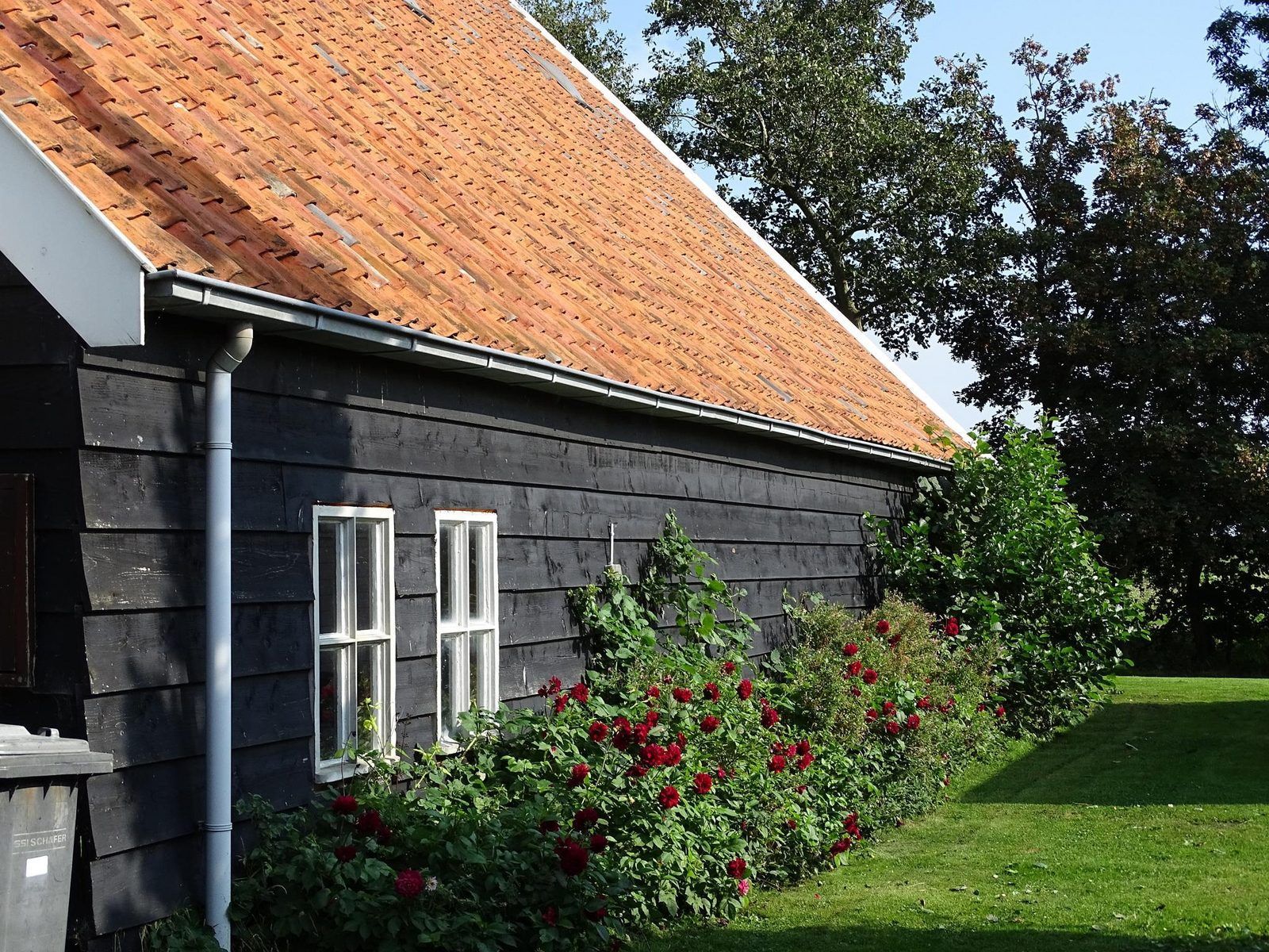 Guest house 6007206 - Holiday property Schouwen-Duiveland - VZ890 Vakantiehuis in Renesse