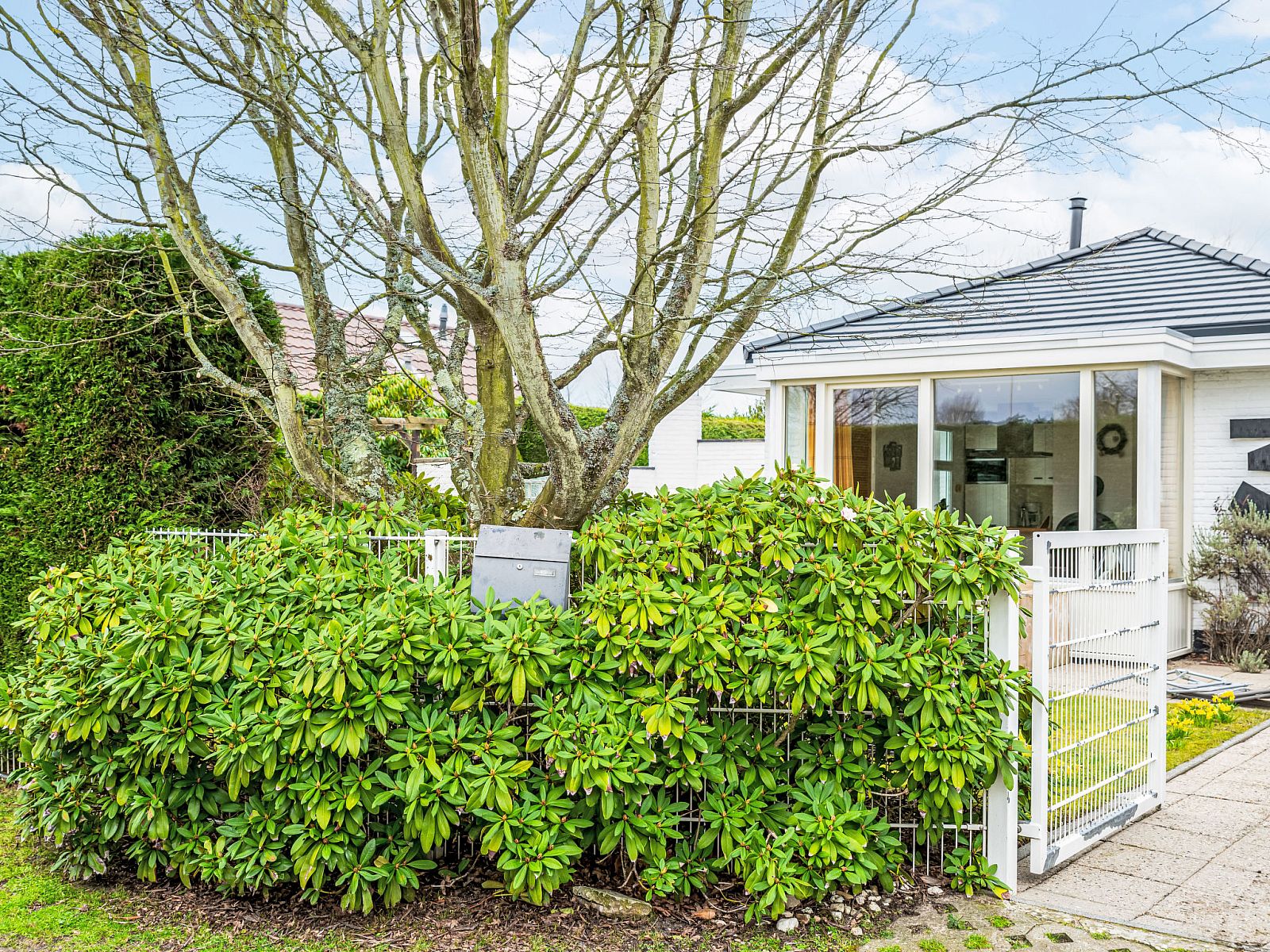 Green garden and entrance gate at Holiday home Horizon by the Sea, Renesse, surrounded by nature.