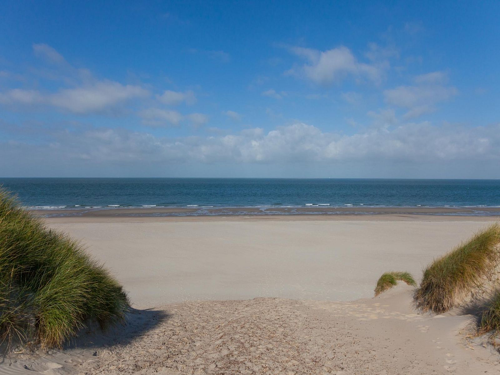 Guest house 6007215 - Holiday property Schouwen-Duiveland - Zonnedorp Kavel 10 Renesse | Villa near the Beach & with Spa
