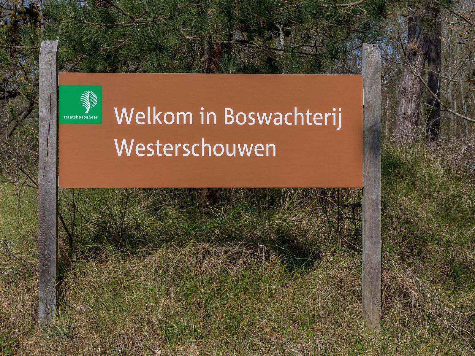 Guest house 6007215 - Holiday property Schouwen-Duiveland - Zonnedorp Kavel 10 Renesse | Villa near the Beach & with Spa