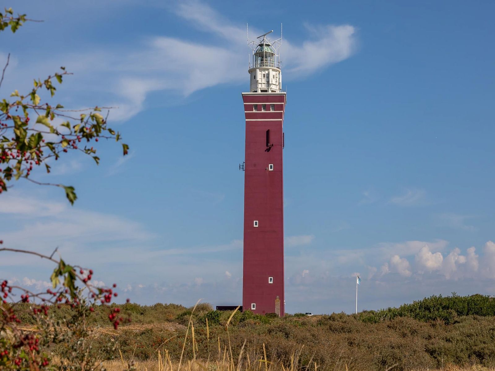 Guest house 6007221 - Holiday property Schouwen-Duiveland - Zonnedorp 26 Renesse: Comfortable Beach Holiday on the North