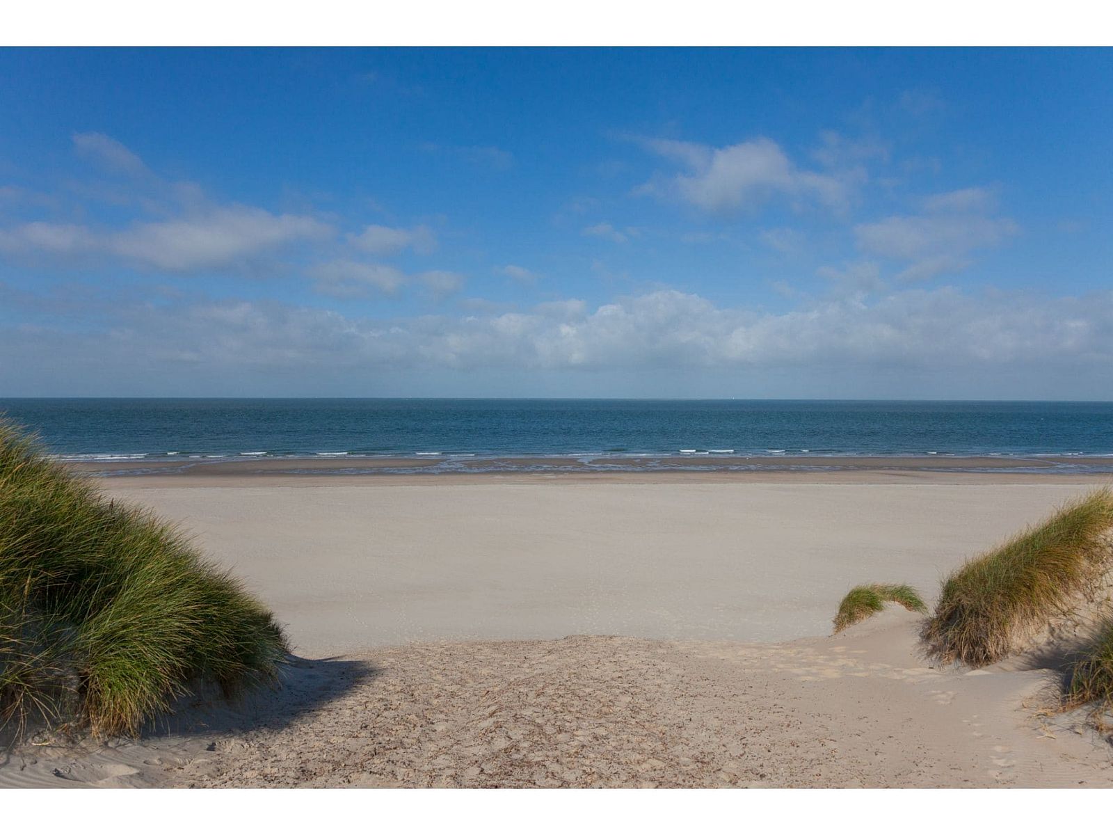Guest house 6007235 - Holiday property Schouwen-Duiveland - Strandvilla 31