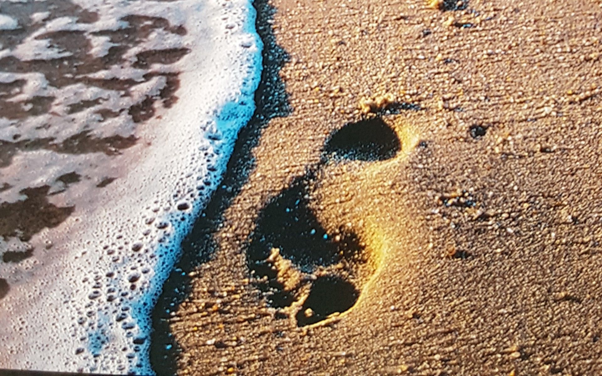 Verblijf 600731 - Vakantiewoning Schouwen-Duiveland - Familiehuis Horizon 84, "Simône"