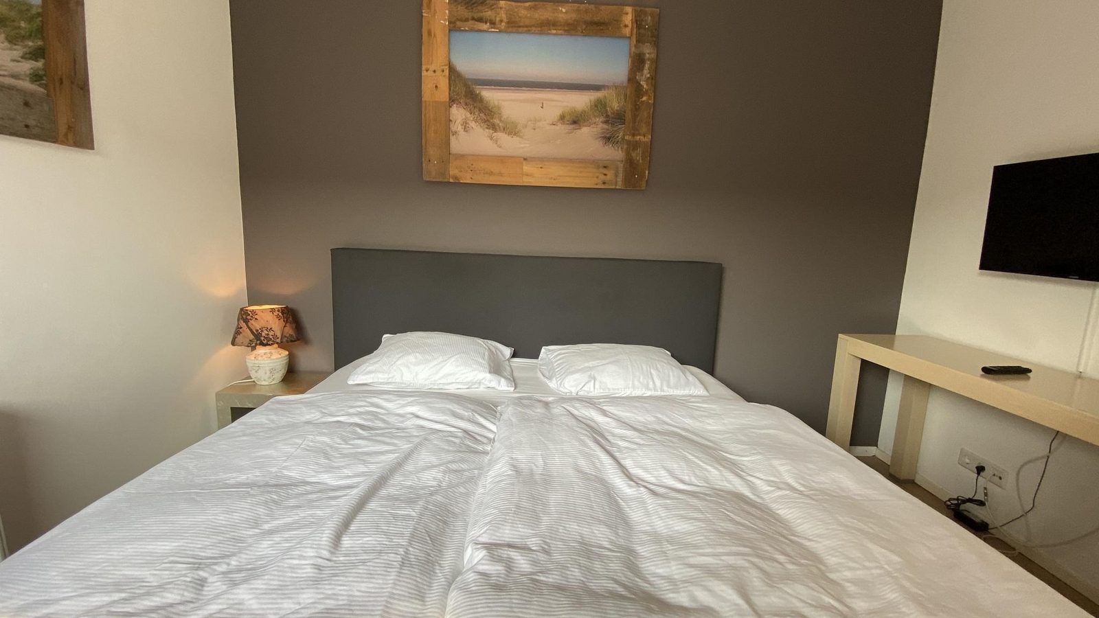 Geraeumige Terrasse mit Olivenbaum im VZ712 Appartement Renesse, gelegen in Renesse, Zeeland.