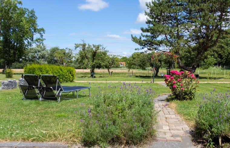 Uitzicht op de groene omgeving van Huisje in Renesse, perfect voor ontspanning in Zeeland.