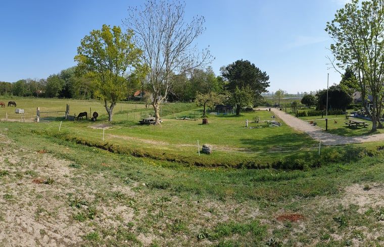 Panoramisch uitzicht op het landschap rondom Huisje in Renesse, ideaal voor natuurliefhebbers.