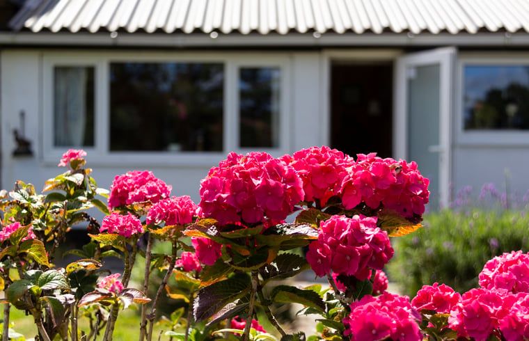 Verblijf 600762 - Vakantiewoning Schouwen-Duiveland - Huisje in Renesse