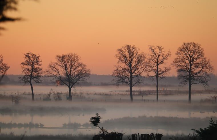 Breathtaking view at sunrise around Cottage in Renesse, vacation home in Schouwen-Duiveland.