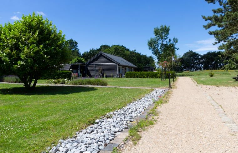 Driveway to Cottage in Renesse, a vacation home in serene Schouwen-Duiveland, surrounded by greenery.