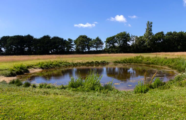 Pond in the garden of Huisje in Renesse, a vacation home in beautiful Renesse, Zeeland.