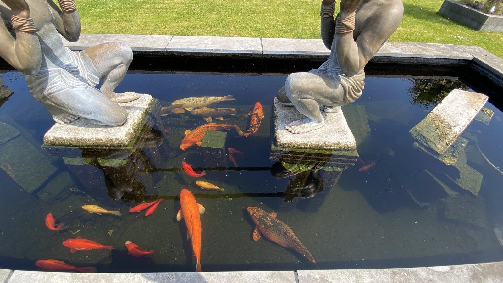 Teich mit bunten Fischen im Garten von VZ704 Holiday home Renesse, Renesse, Schouwen-Duiveland, Zeeland.