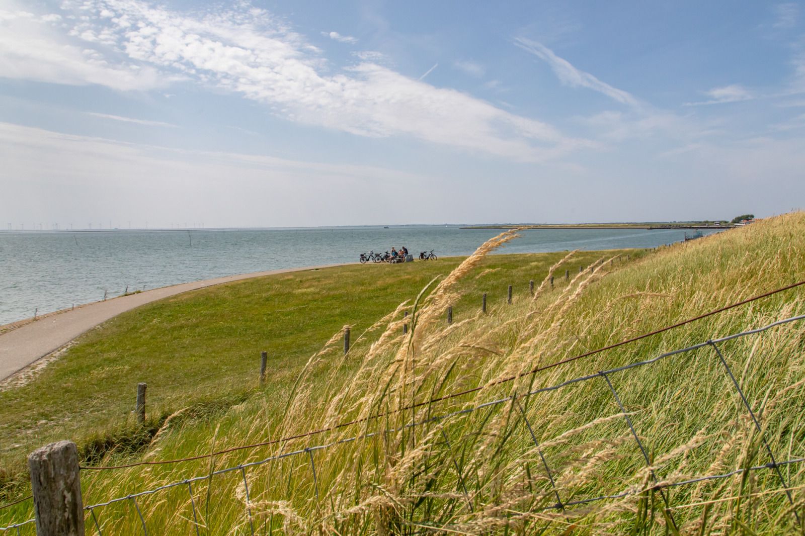 Guest house 600804 - Holiday property Schouwen-Duiveland - ZE897