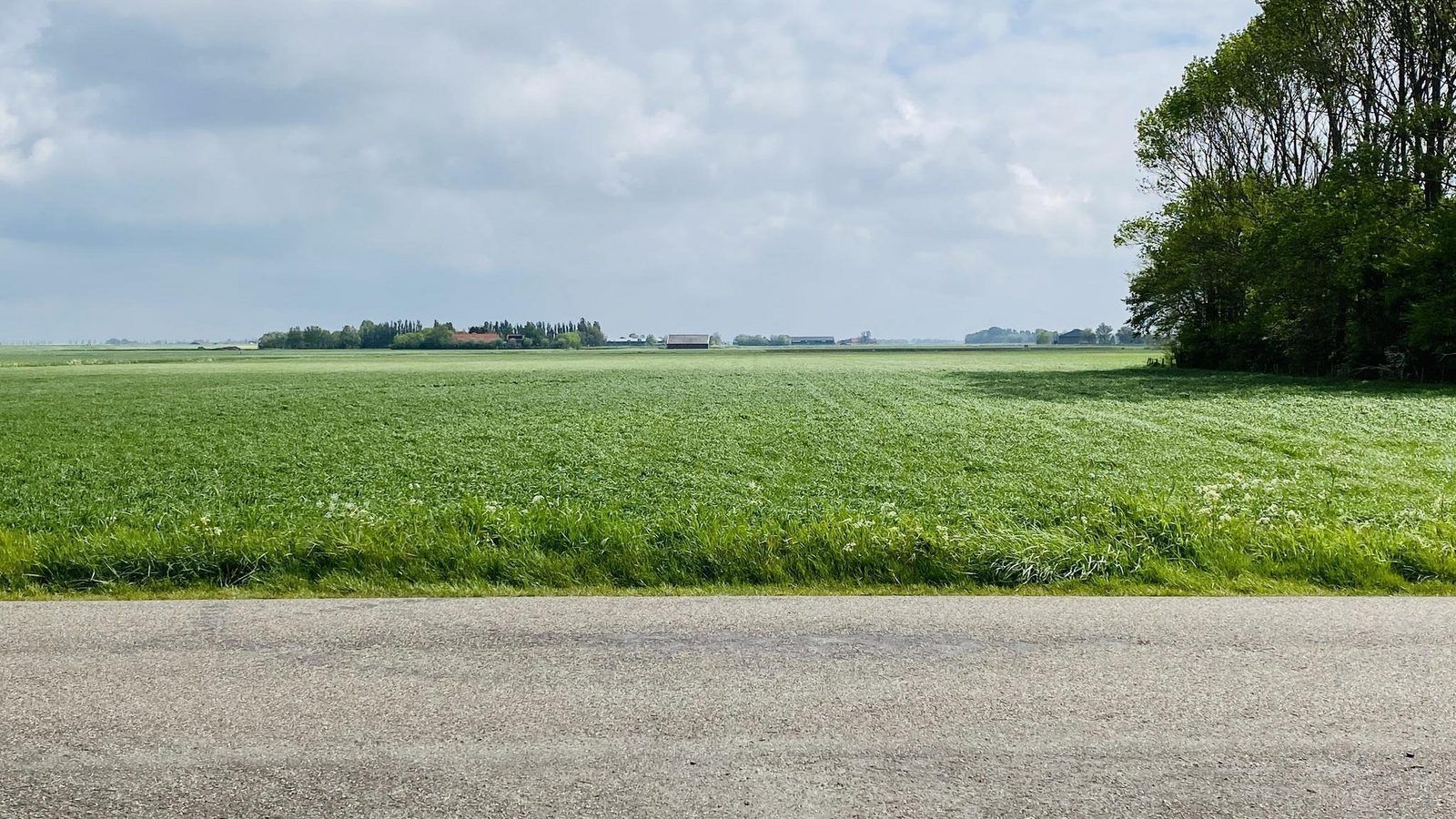 Prachtig uitzicht op velden vanuit VZ182 Vakantiehuis Kerkwerve, Zeeland.