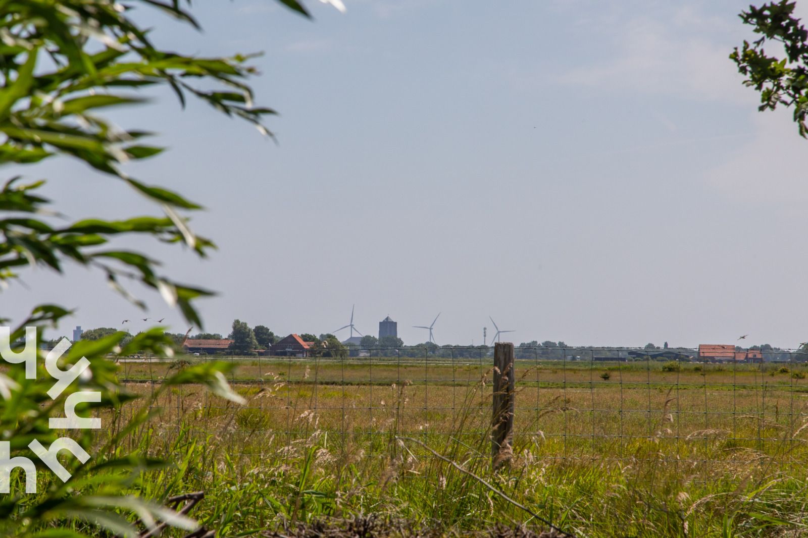 Image 20