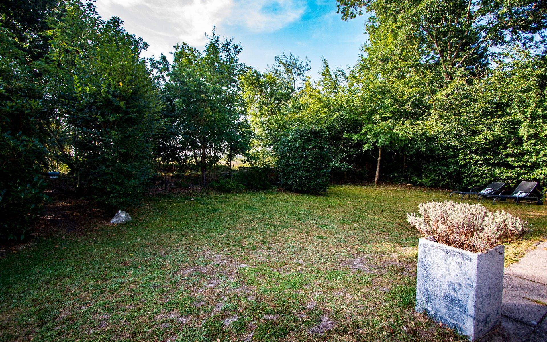 Guest house 600905 - Chalet Schouwen-Duiveland - Vakantiewoning Populierenlaan 13, &quot;Veldzicht&quot;