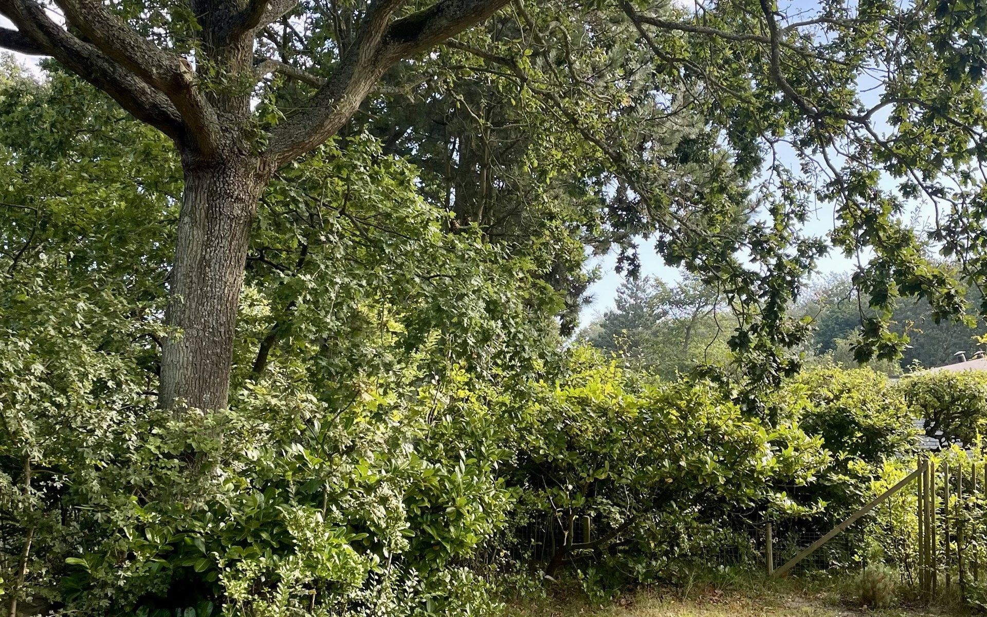 Guest house 600905 - Chalet Schouwen-Duiveland - Vakantiewoning Populierenlaan 13, &quot;Veldzicht&quot;