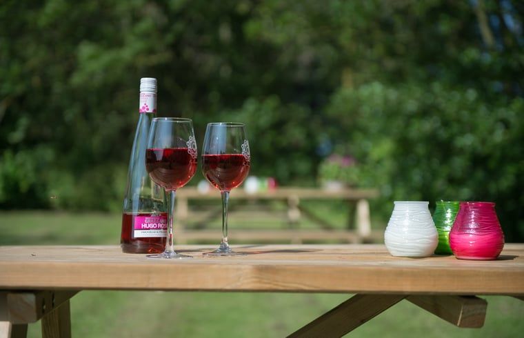 Guest house 601008 - Holiday property Schouwen-Duiveland - Vakantiehuis in Noordwelle