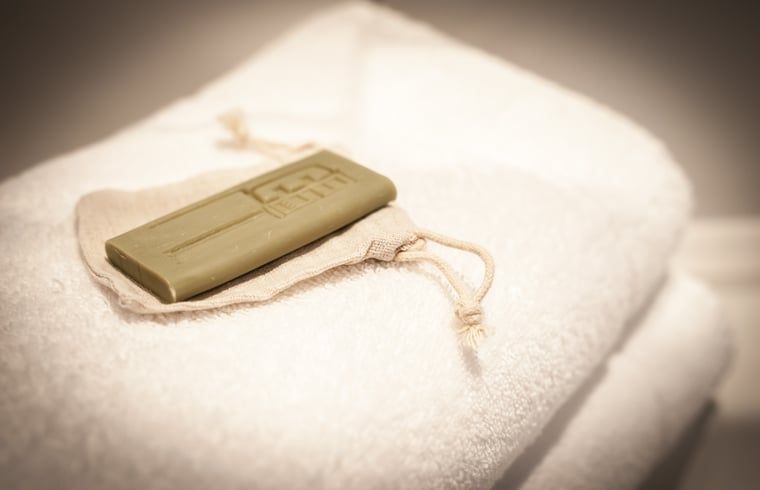 Guest house 601009 - Holiday property Schouwen-Duiveland - Vakantiehuisje in Noordwelle