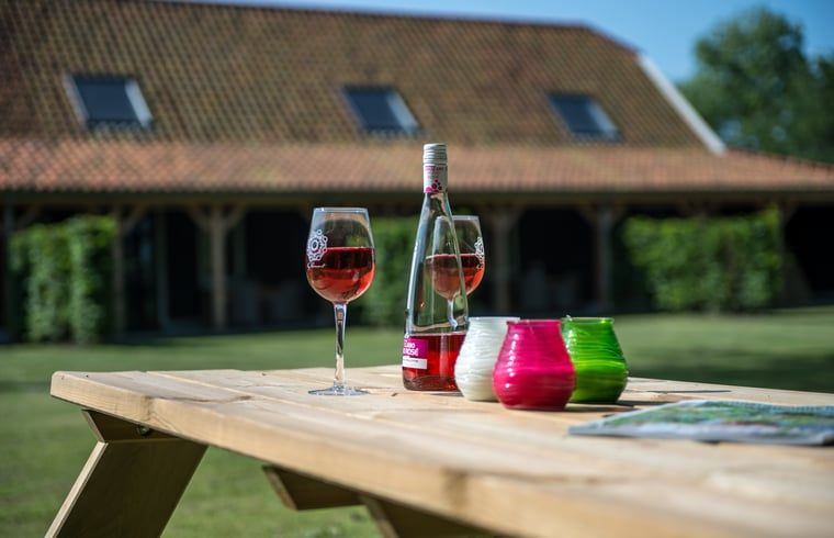 Guest house 601009 - Holiday property Schouwen-Duiveland - Vakantiehuisje in Noordwelle