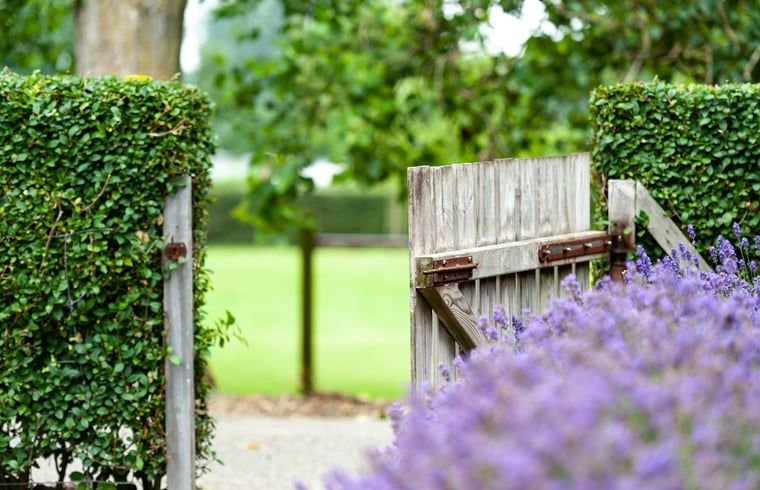 Guest house 601337 - Holiday property Schouwen-Duiveland - Huisje in Zonnemaire