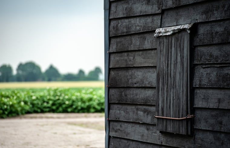 Guest house 601337 - Holiday property Schouwen-Duiveland - Huisje in Zonnemaire