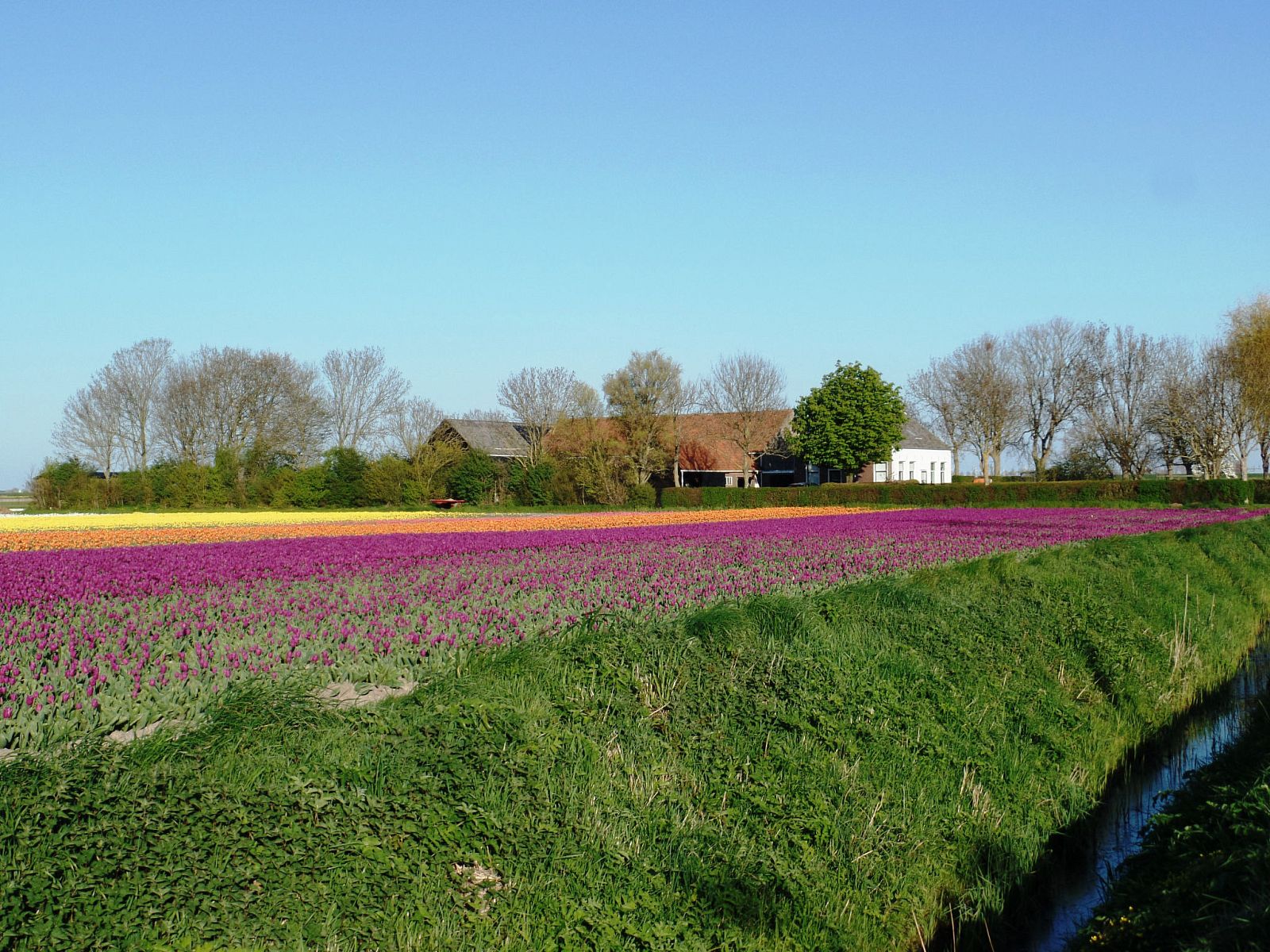 Unterkunft 601347 - Ferienhaus Schouwen-Duiveland - Vakantiehuis Camping Hofstede Zonnevliet - Buitenlust