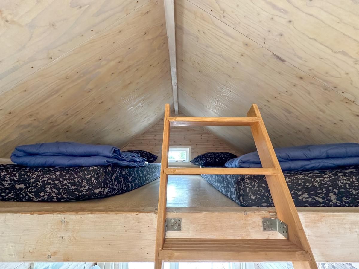 Unterkunft 602021 - Ferienhaus Schouwen-Duiveland - Surfers Cabin