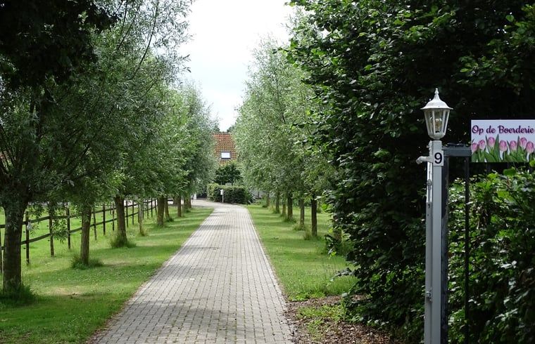 Unterkunft 603106 - Ferienhaus Schouwen-Duiveland - Vakantiehuis in Noordgouwe
