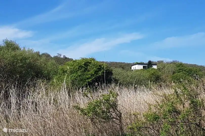 Unterkunft 603226 - Ferienhaus Schouwen-Duiveland - Casela Nostra
