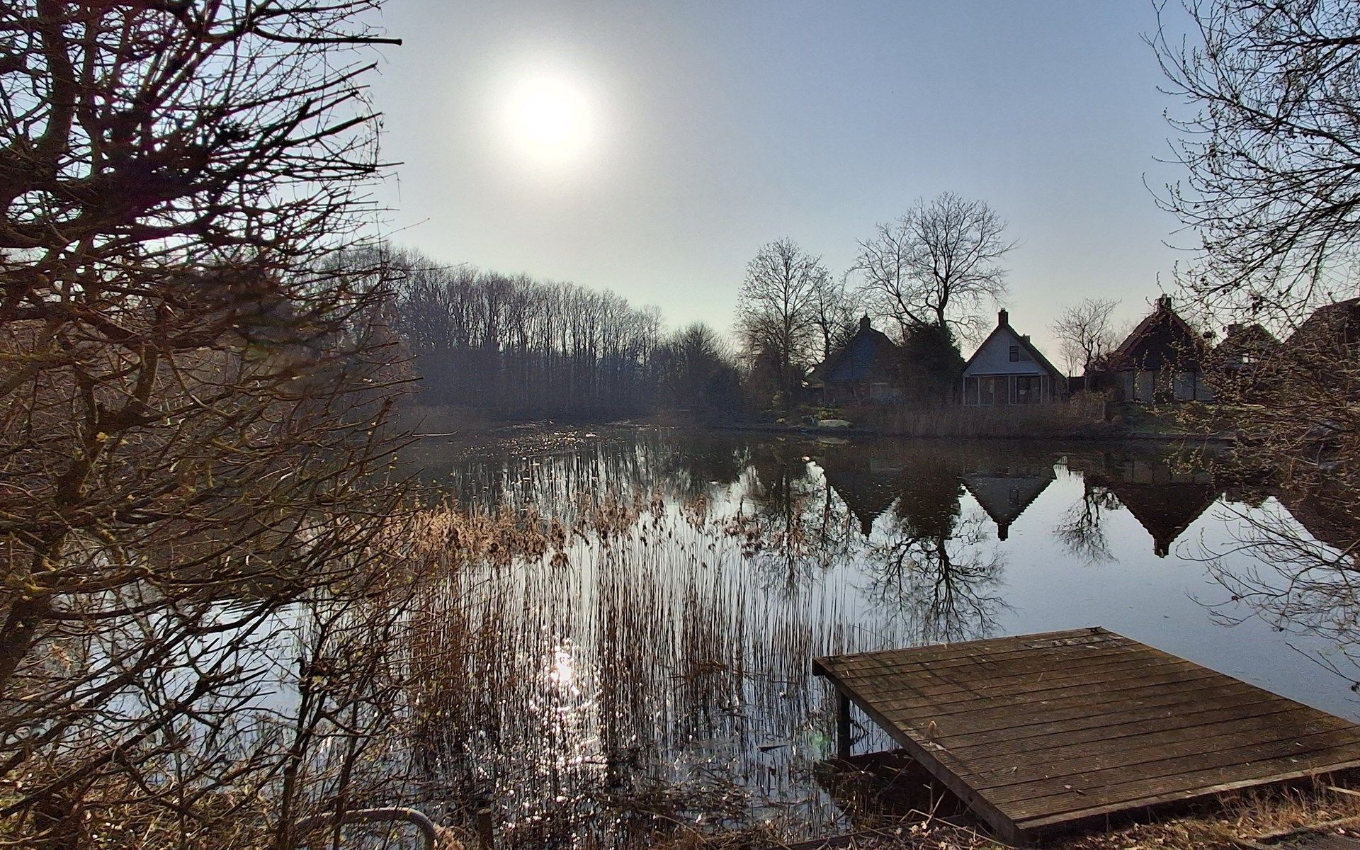 Guest house 603409 - Bungalow Schouwen-Duiveland - Vakantiewoning Salvatorhoeve 120