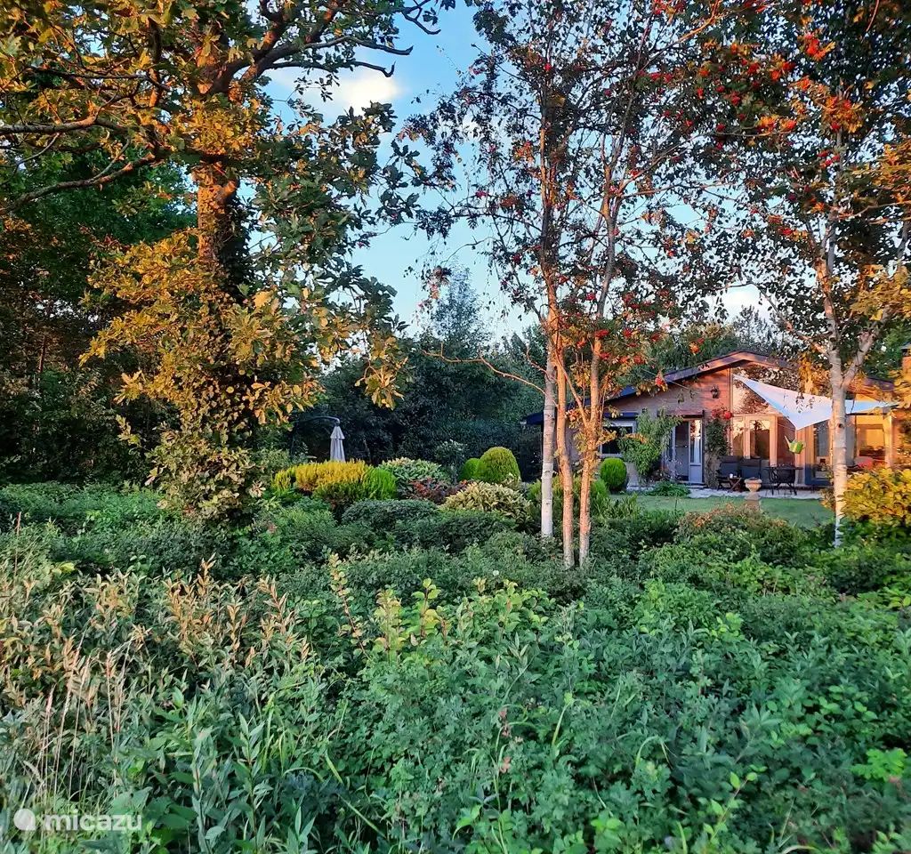 Guest house 603411 - Bungalow Schouwen-Duiveland - Weids uitzicht