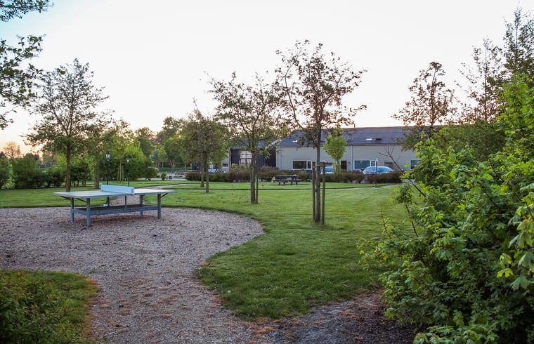 Gruene Umgebung im Ferienhaus in Looperskapelle, Schouwen-Duiveland, mit einer Tischtennisplatte im Garten.