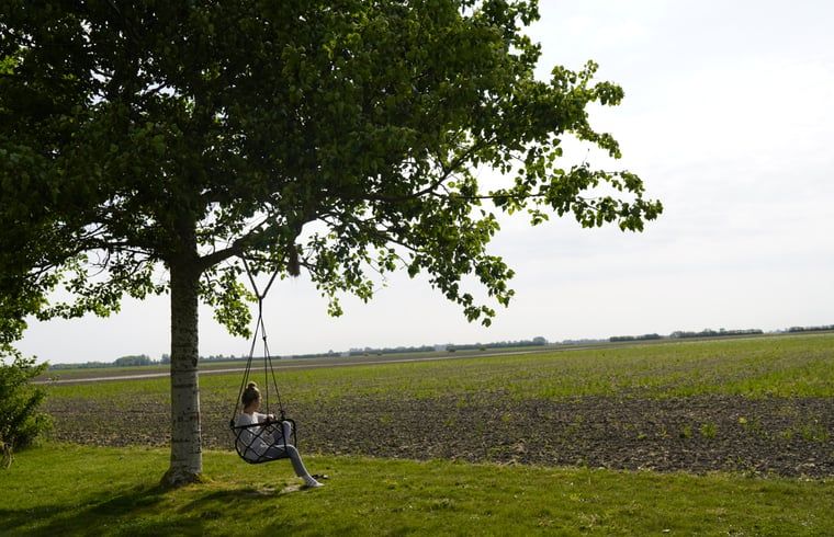 Erholsame Schaukel unter einem Baum mit Blick auf die Felder im Ferienhaus in Looperskapelle, Zeeland.