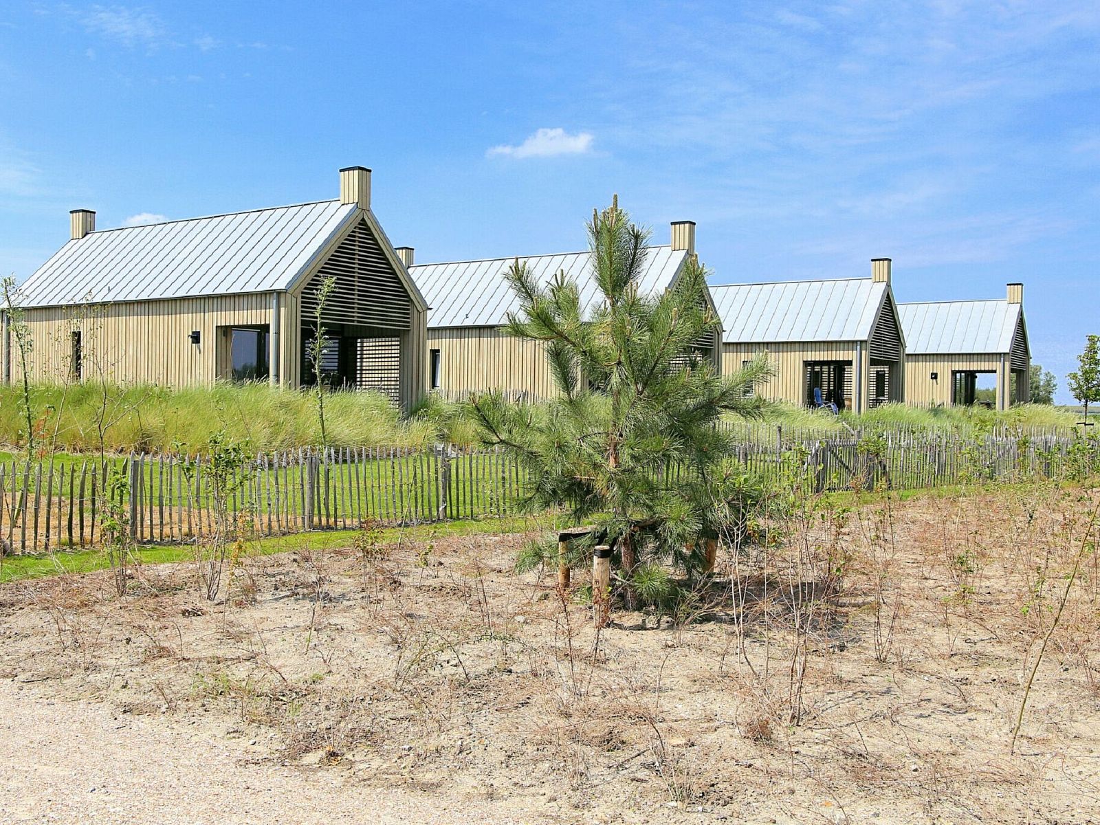 Gruene Umgebung des Ferienhauses Oesterdam Resort in Tholen, Zeeland mit Ferienhaeusern.