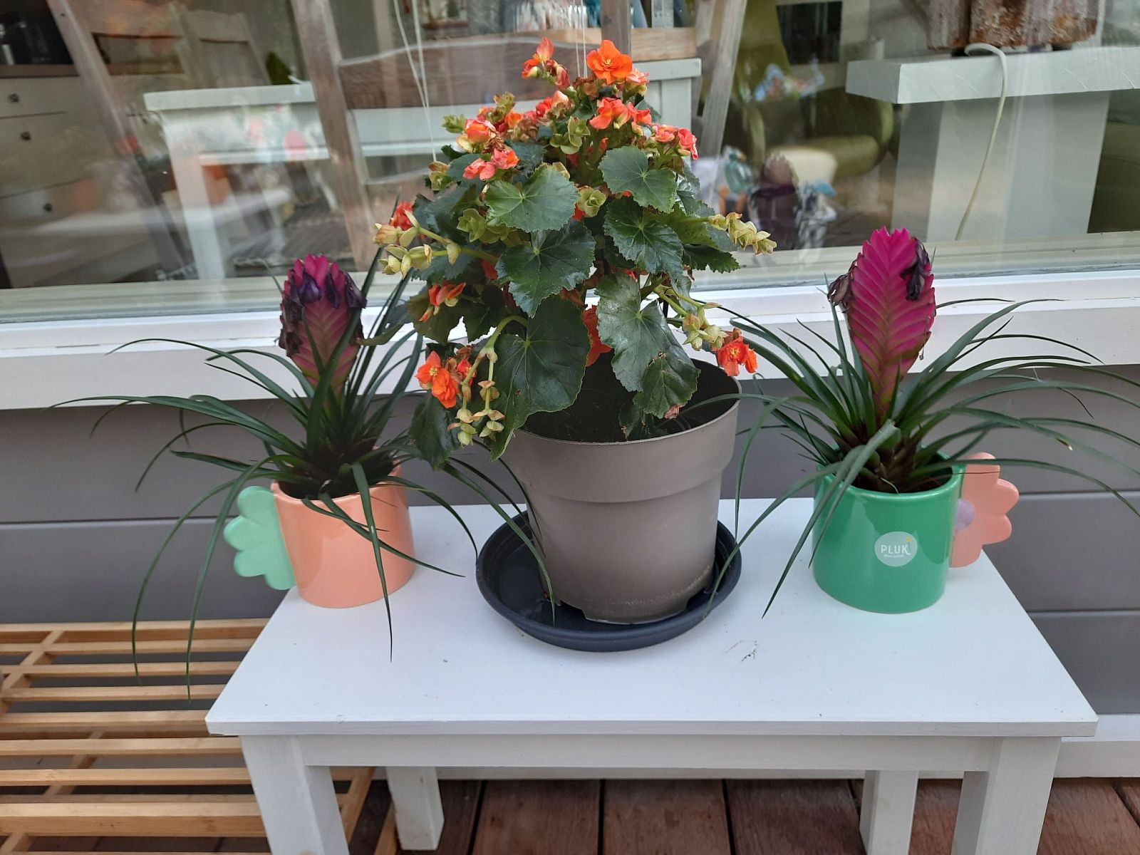 Guest house 610411 - Holiday property Tholen - Vakantiehuis Schöne Familien-Ferienwohnung in Zeeland