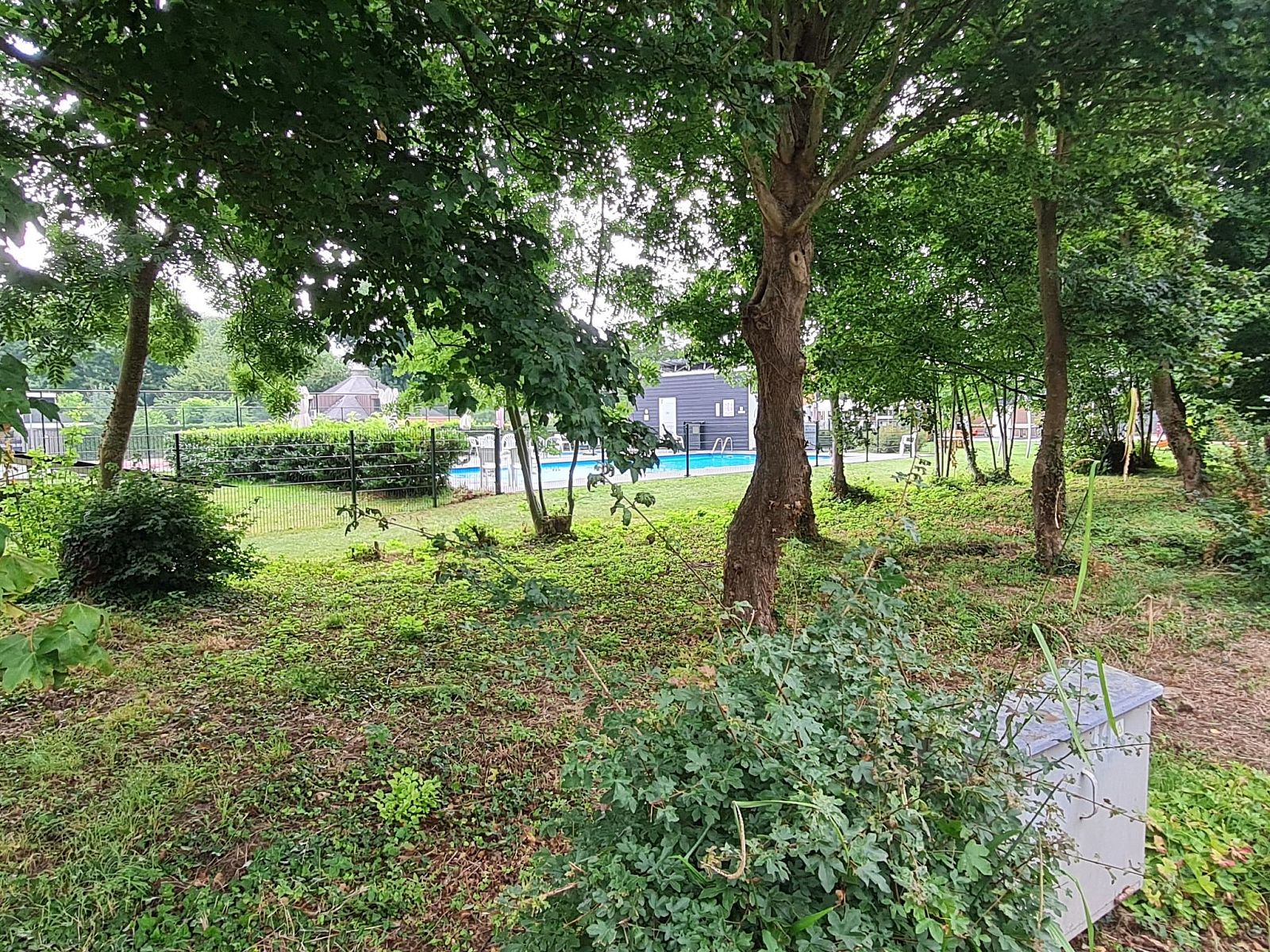 Guest house 610478 - Holiday property Tholen - Vakantiehuis "Buurtweg 121"