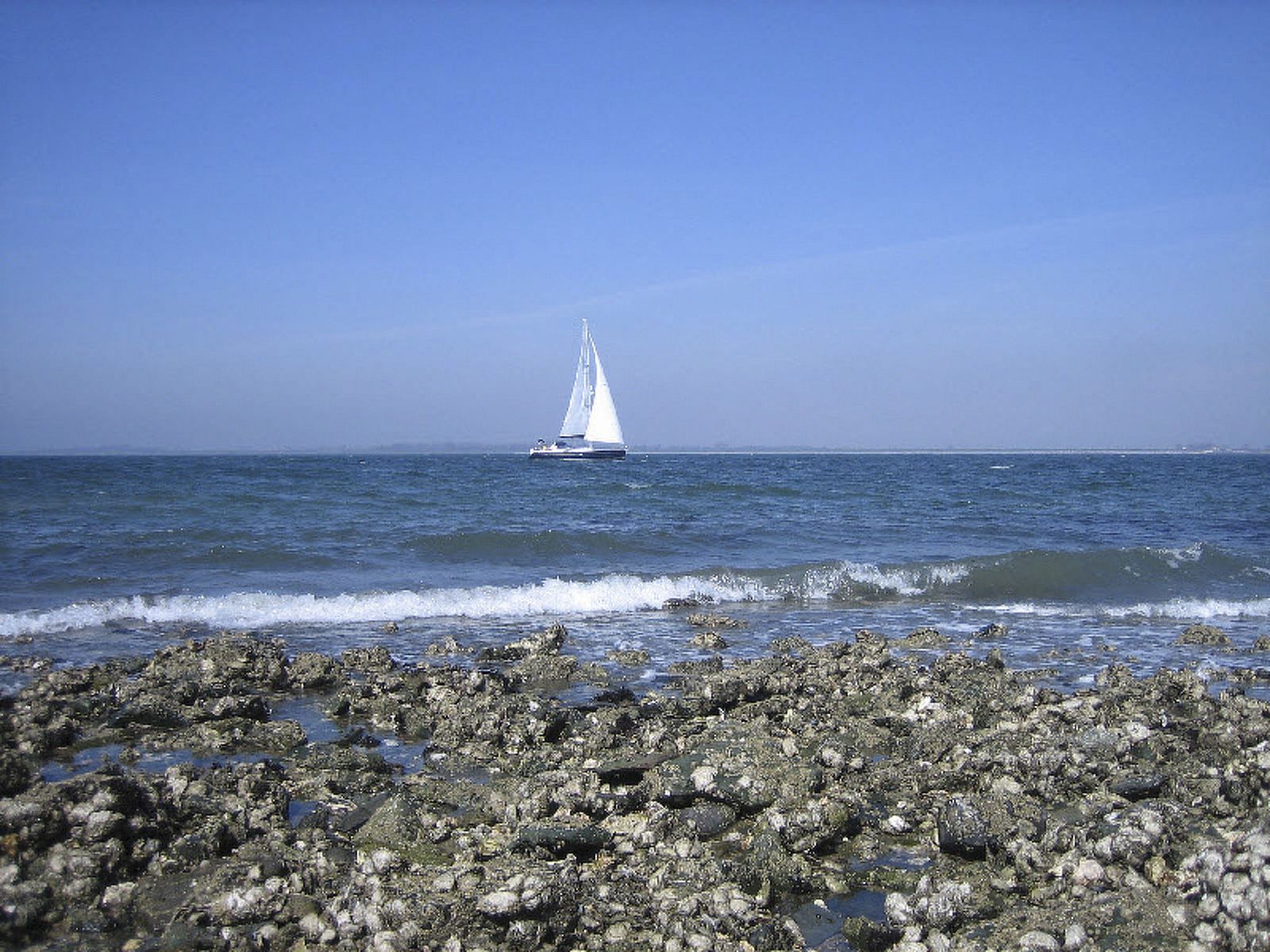 Unterkunft 610479 - Ferienhaus Tholen - Vakantiehuis am Meer in Zeeland