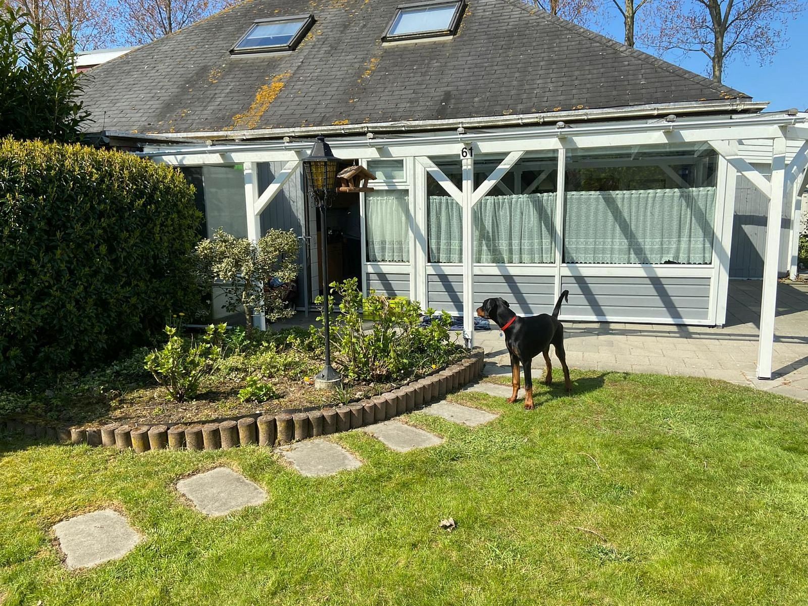 Guest house 610482 - Holiday property Tholen - Vakantiehuis "Buurtweg 61"