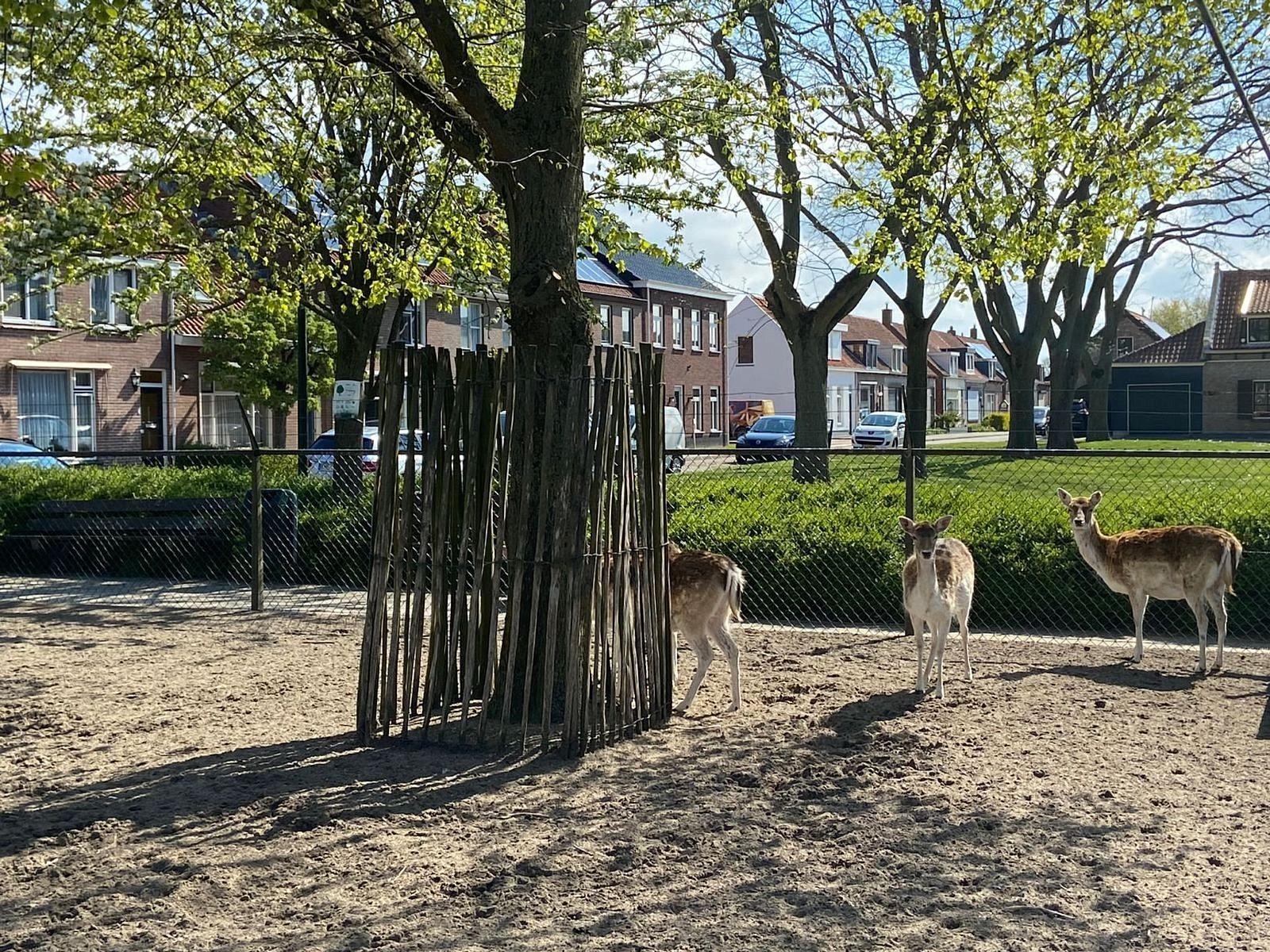 Guest house 610482 - Holiday property Tholen - Vakantiehuis "Buurtweg 61"